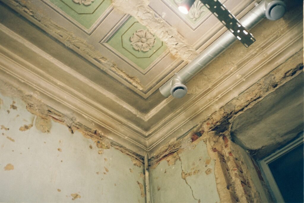 Professional mold removal company technicians inspecting water damage and removing mold to improve indoor air quality and building safety.