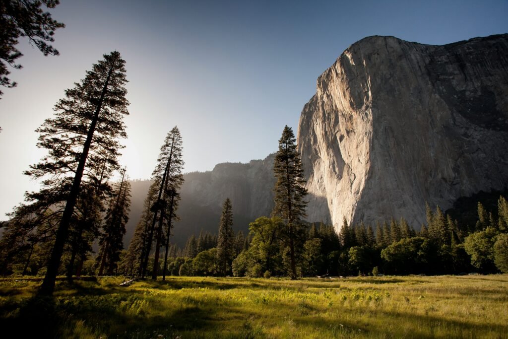 Panoramic view of iconic U.S. national parks featuring mountain peaks, waterfalls, forests, canyons, and wildlife under a colorful sky.