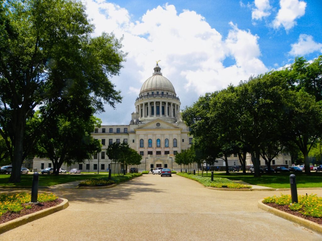 Mississippi Secretary of State Business Search interface for verifying business registration and official entity records